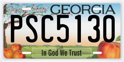 GA license plate PSC5130