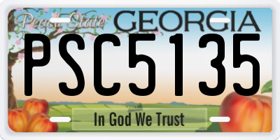 GA license plate PSC5135