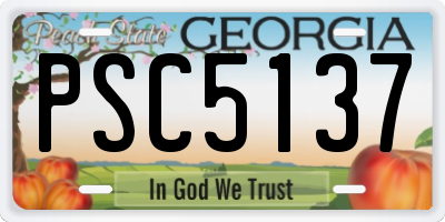 GA license plate PSC5137