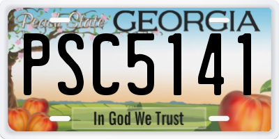 GA license plate PSC5141