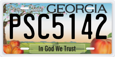 GA license plate PSC5142