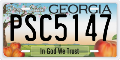 GA license plate PSC5147