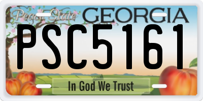 GA license plate PSC5161