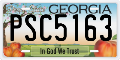 GA license plate PSC5163