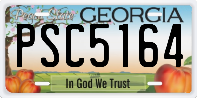 GA license plate PSC5164