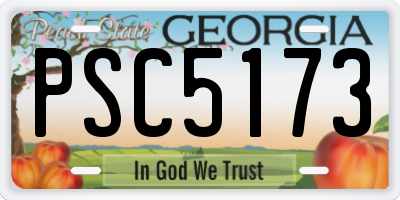 GA license plate PSC5173