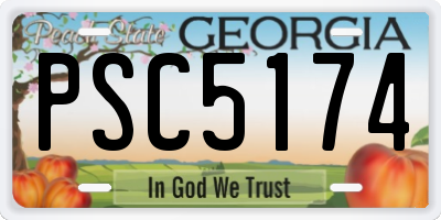 GA license plate PSC5174