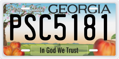 GA license plate PSC5181