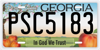 GA license plate PSC5183