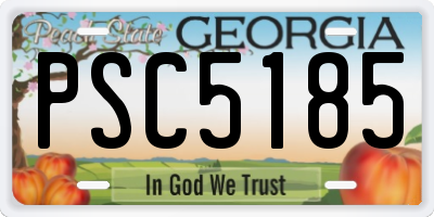 GA license plate PSC5185