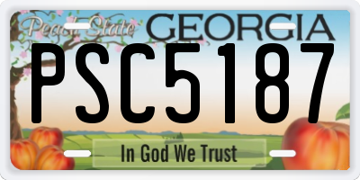 GA license plate PSC5187