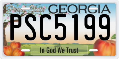 GA license plate PSC5199
