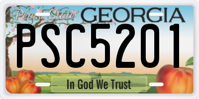 GA license plate PSC5201