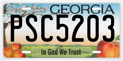 GA license plate PSC5203