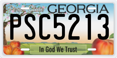 GA license plate PSC5213