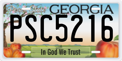 GA license plate PSC5216