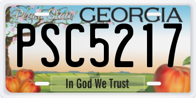 GA license plate PSC5217