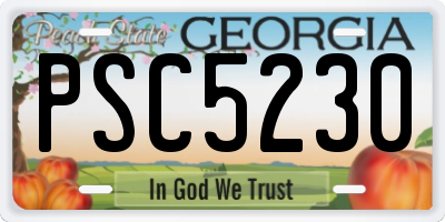GA license plate PSC5230