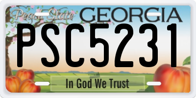 GA license plate PSC5231