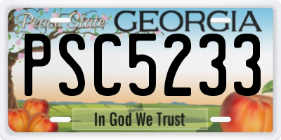 GA license plate PSC5233