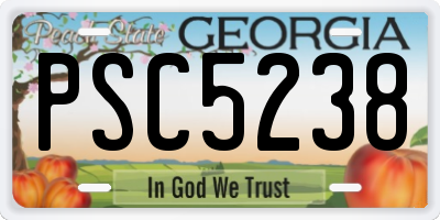 GA license plate PSC5238