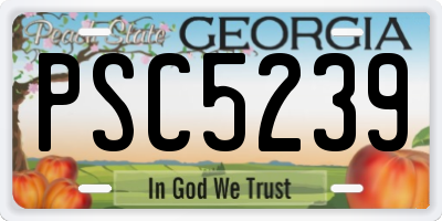 GA license plate PSC5239