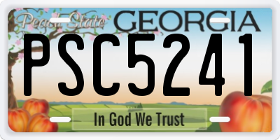 GA license plate PSC5241