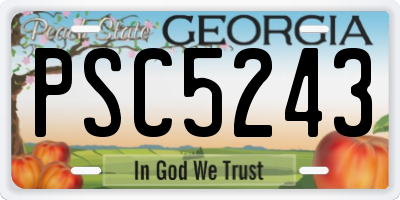GA license plate PSC5243