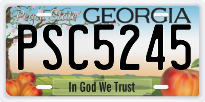 GA license plate PSC5245