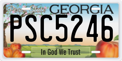 GA license plate PSC5246