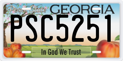 GA license plate PSC5251