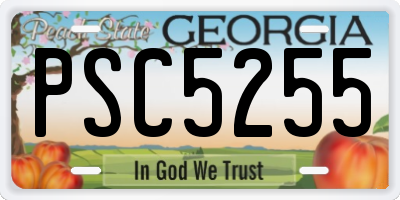GA license plate PSC5255