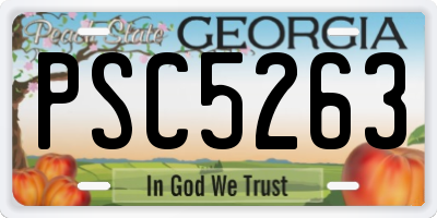 GA license plate PSC5263