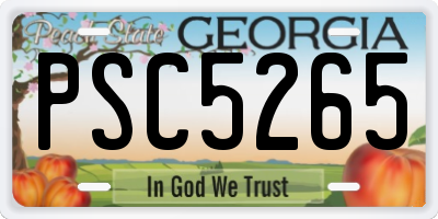 GA license plate PSC5265