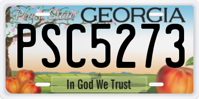 GA license plate PSC5273
