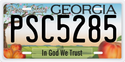 GA license plate PSC5285