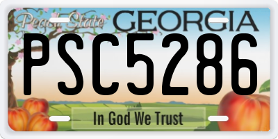 GA license plate PSC5286
