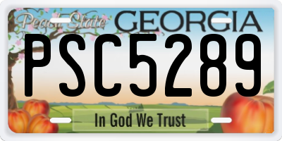 GA license plate PSC5289