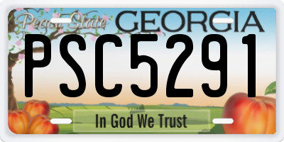 GA license plate PSC5291