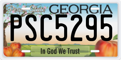 GA license plate PSC5295