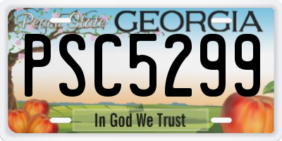 GA license plate PSC5299