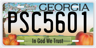 GA license plate PSC5601