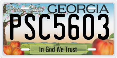 GA license plate PSC5603