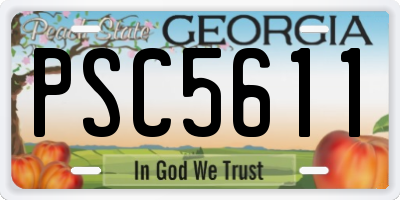 GA license plate PSC5611