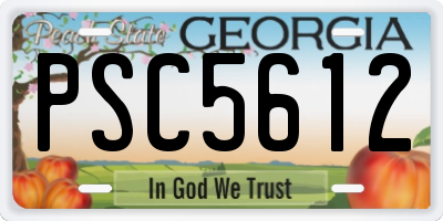 GA license plate PSC5612