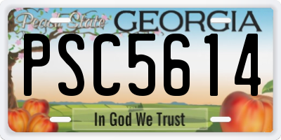 GA license plate PSC5614