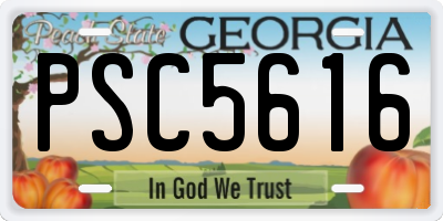 GA license plate PSC5616