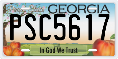 GA license plate PSC5617