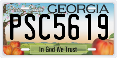 GA license plate PSC5619