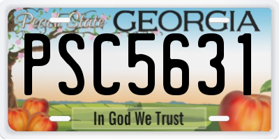 GA license plate PSC5631